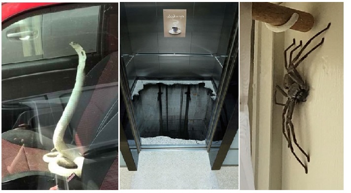 Zdroj : brightside.me