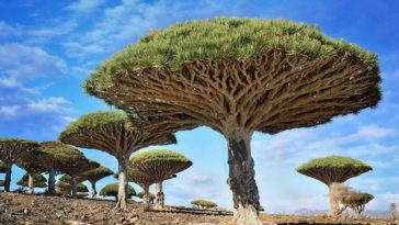 Zdroj: wonderslist.com