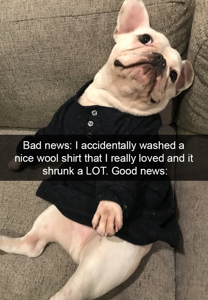 Zdroj: boredpanda.com