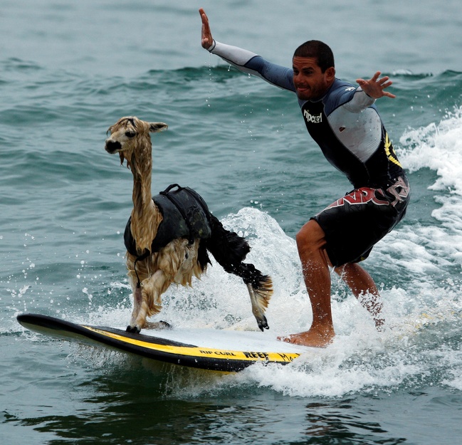 Zdroj : brightside.me