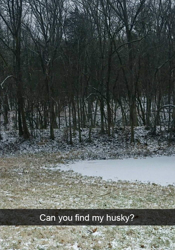 Zdroj: boredpanda.com