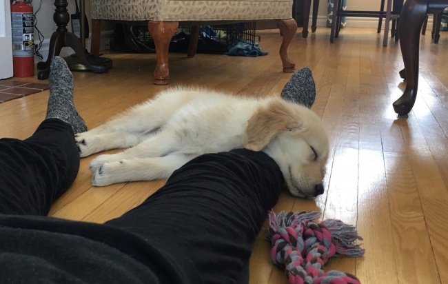 Zdroj: brightside.me