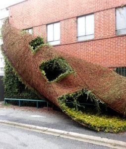 Zdroj: brightside.me