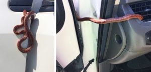 Zdroj: brightside.me