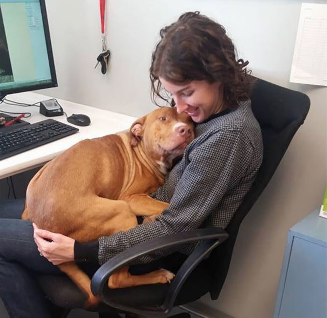 Zdroj : brightside.me