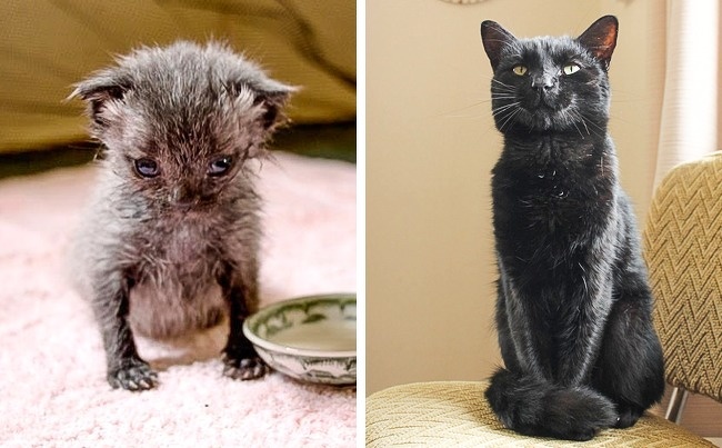 Zdroj : brightside.me