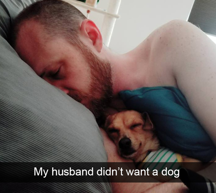 Zdroj: boredpanda.com