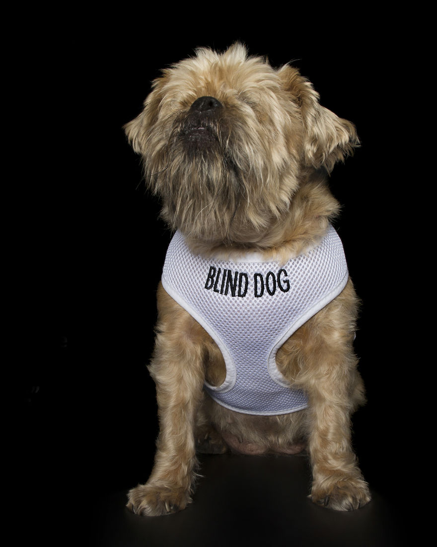 Zdroj: boredpanda.com