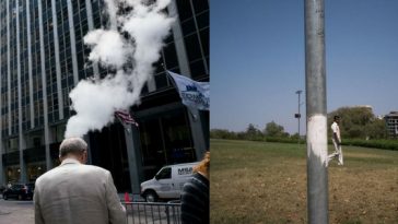 Zdroj: boredpanda.com