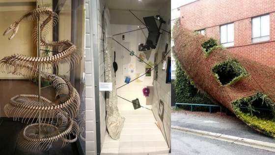 Zdroj: brightside.me