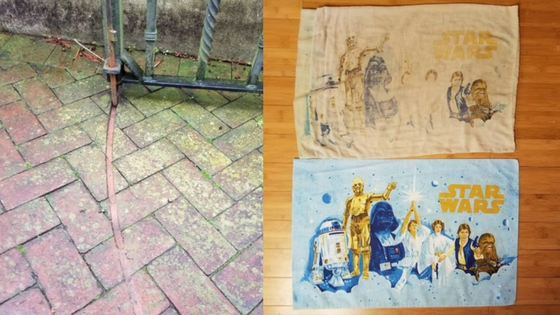 Zdroj: brightside.me