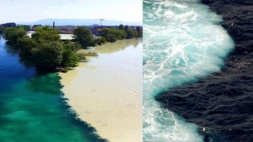 Zdroj: facebook.com/Sadcasm