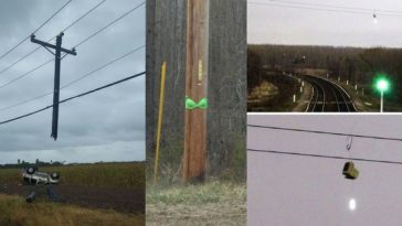 Zdroj: brightside.me