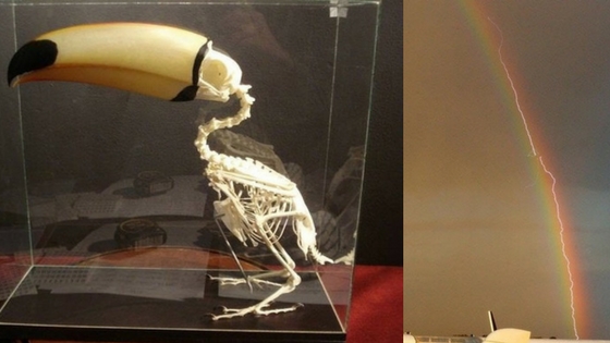 Zdroj: brightside.me