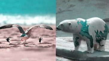 Zdroj: boredpanda.com