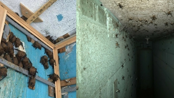 Zdroj: brightside.me