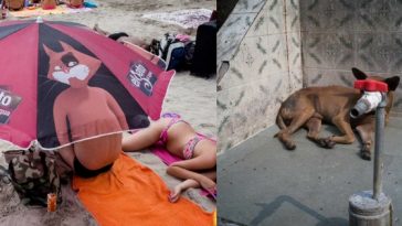 Zdroj: boredpanda.com