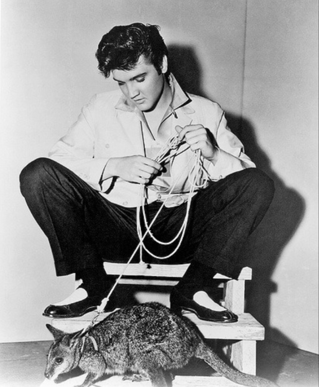 Zdroj: brightside.me