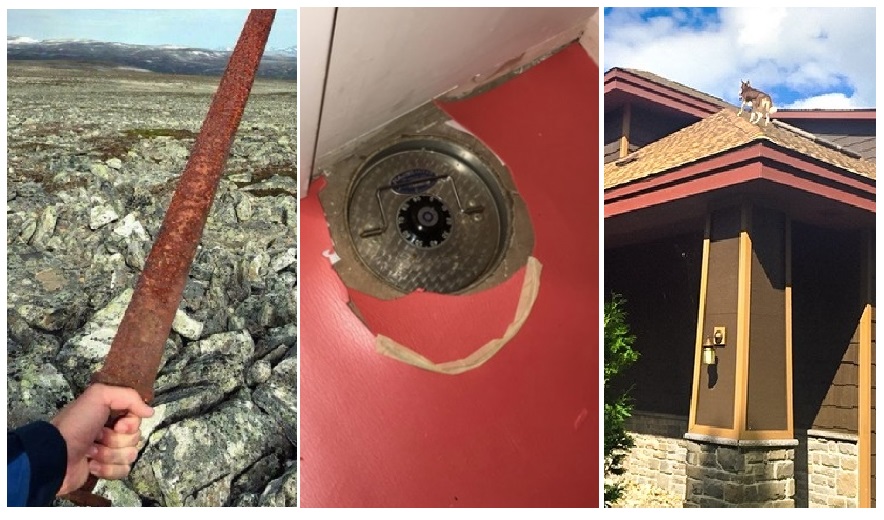 Zdroj : brightside.me