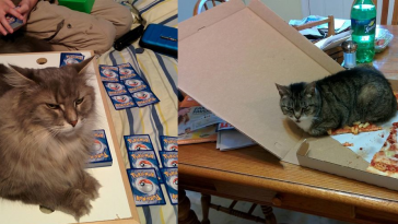 Zdroj: boredpanda.com