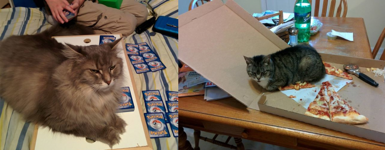 Zdroj: boredpanda.com