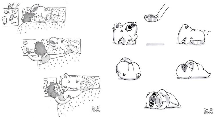 Zdroj: boredpanda.com