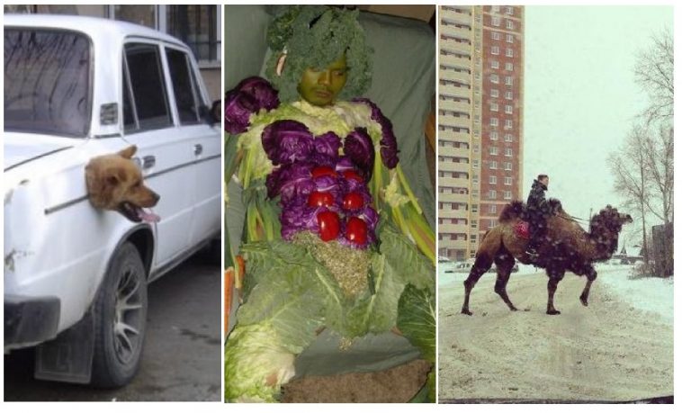 Zdroj : brightside.me