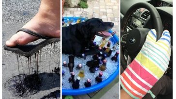 Zdroj : brightside.me