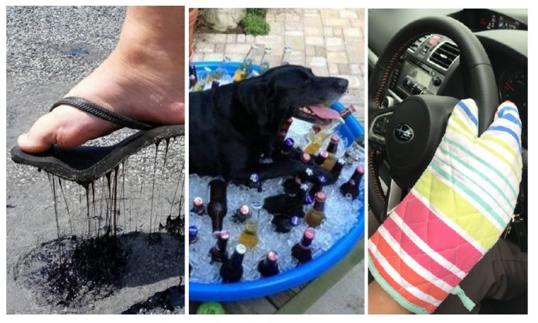 Zdroj : brightside.me