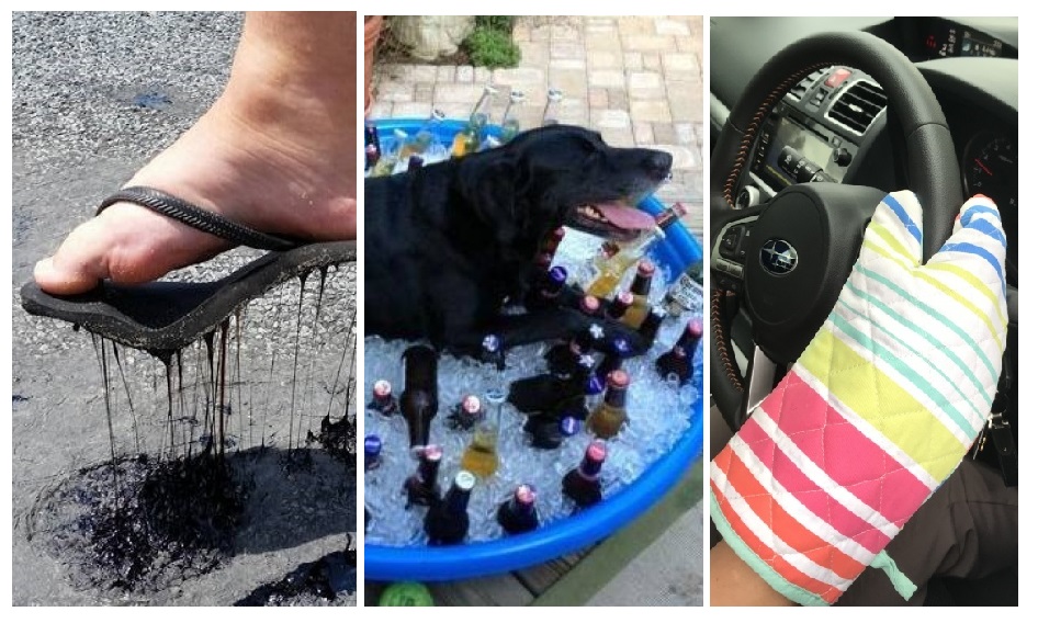 Zdroj : brightside.me