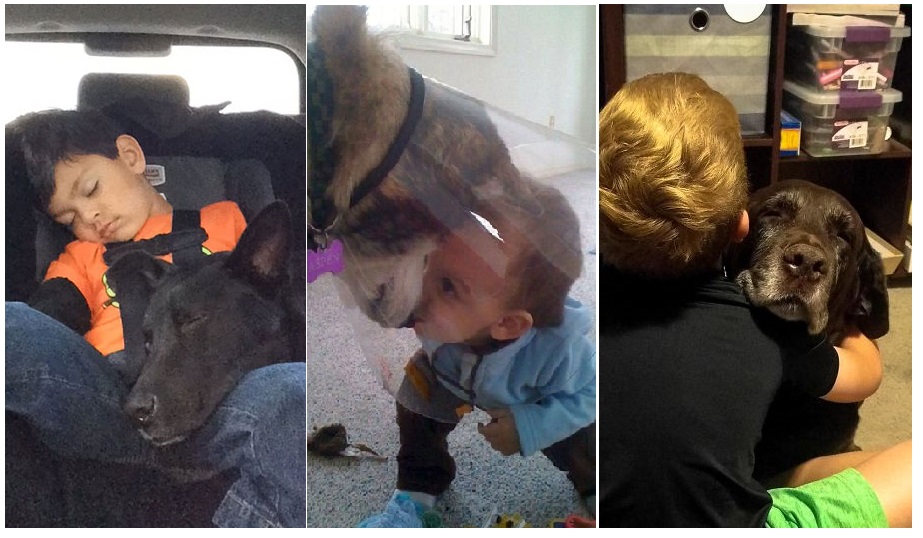 Zdroj : boredpanda.com