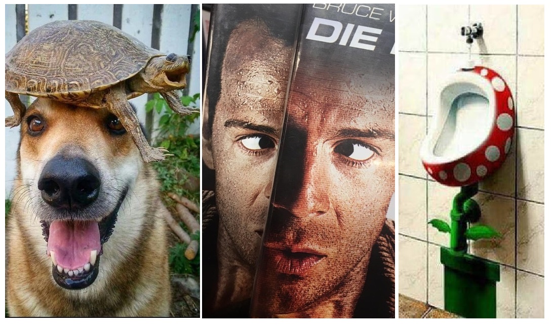 Zdroj : brightside.me