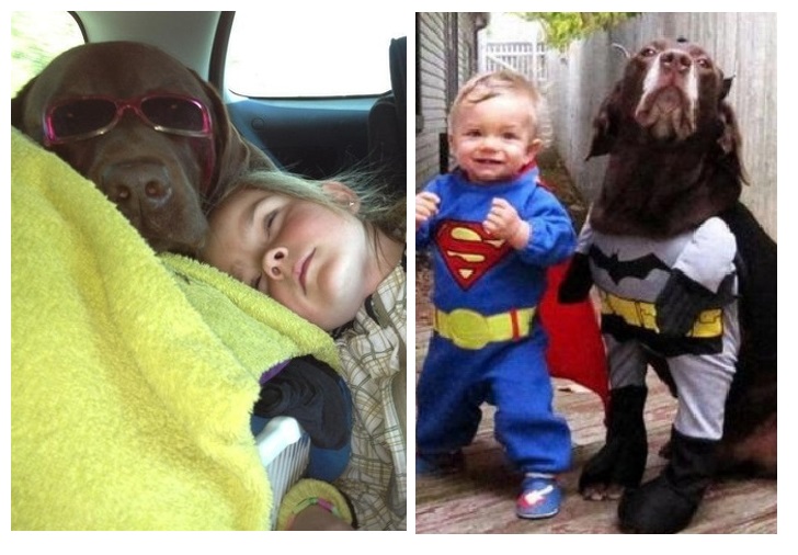 Zdroj : brightside.me