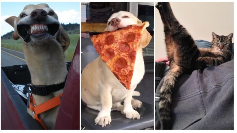 Zdroj : brightside.me