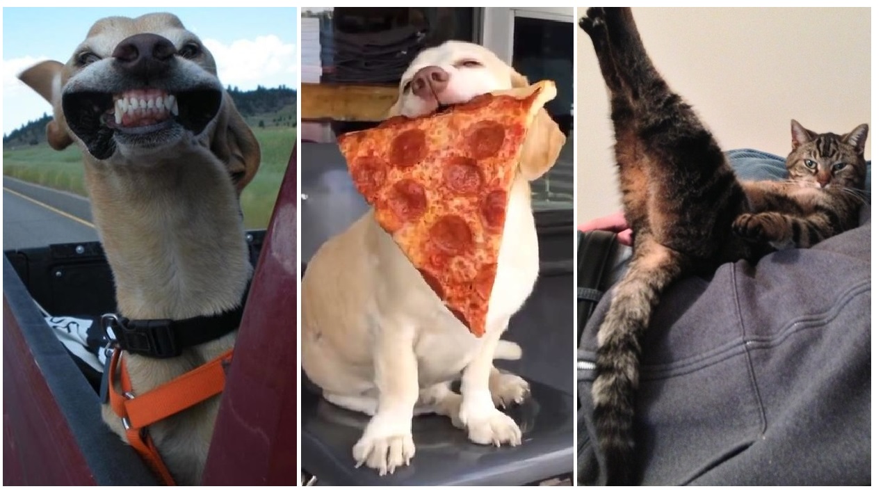 Zdroj : brightside.me