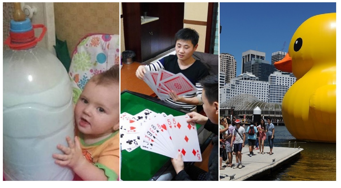 Zdroj : brightside.me