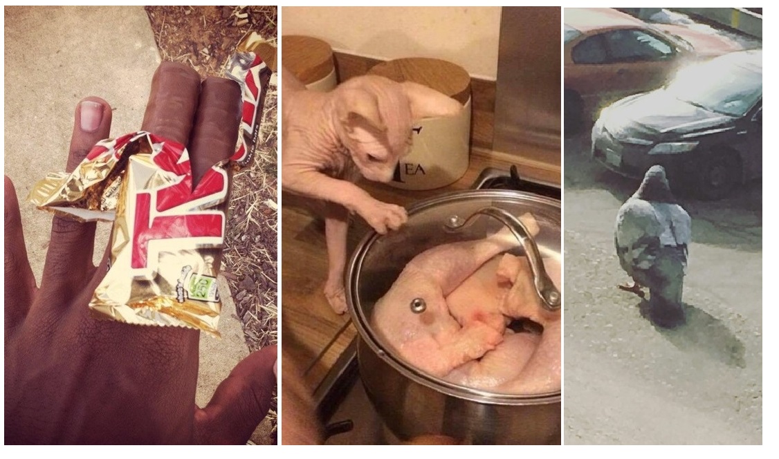 Zdroj : brightside.me