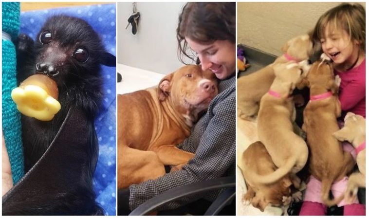 Zdroj : brightside.me