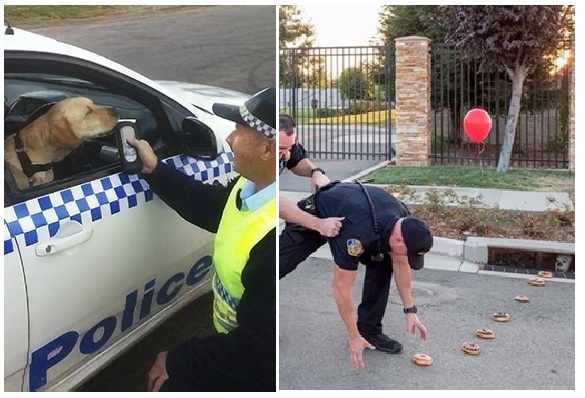 Zdroj : boredpanda.com