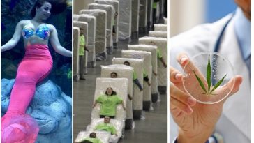 Zdroj : brightside.me