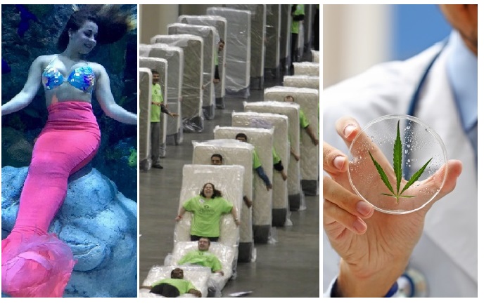 Zdroj : brightside.me