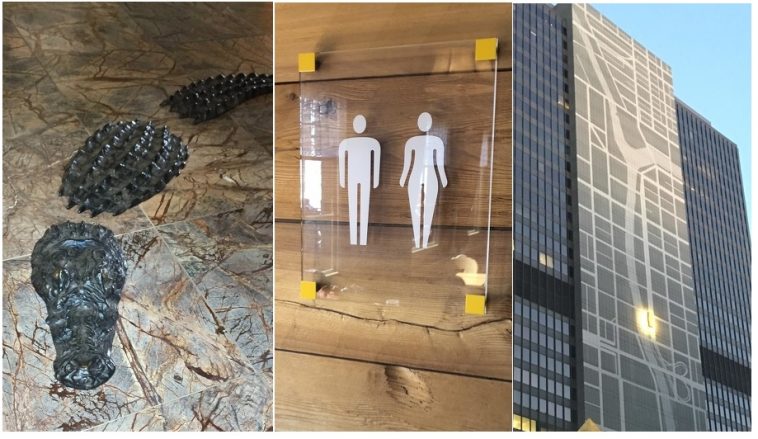 Zdroj : brightside.me