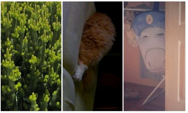 Zdroj : brightside.me