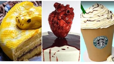 Zdroj : brightside.me