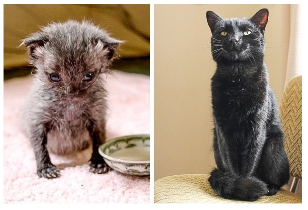 Zdroj : brightside.me