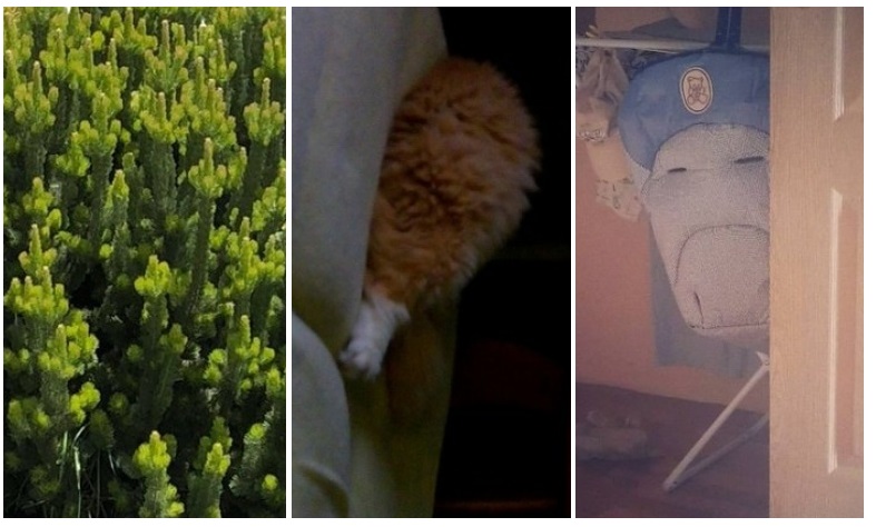 Zdroj : brightside.me