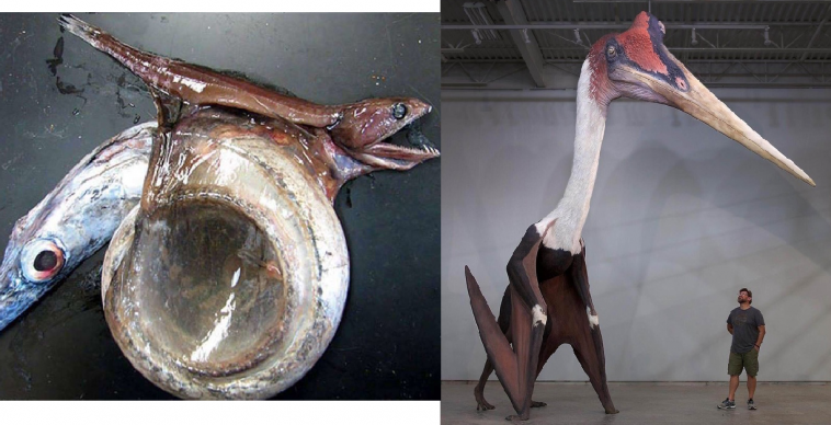 Zdroj: brightside.me