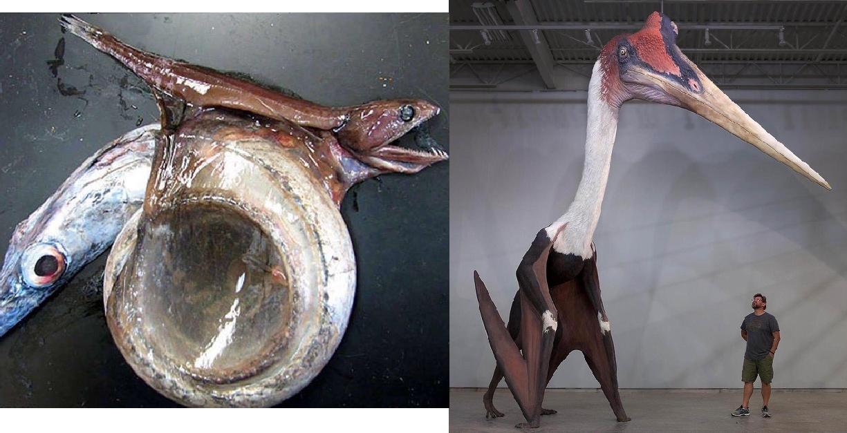 Zdroj: brightside.me