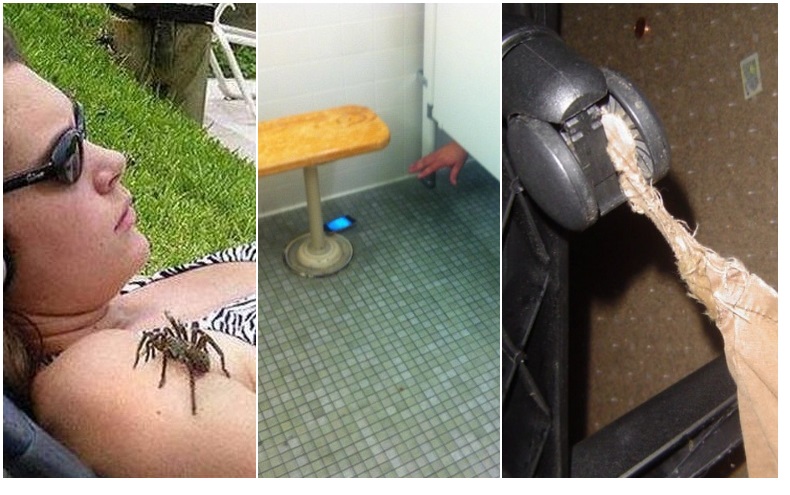 Zdroj : brightside.me