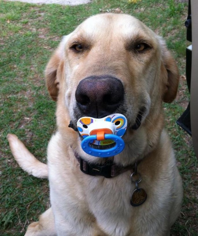 Zdroj: brightside.me